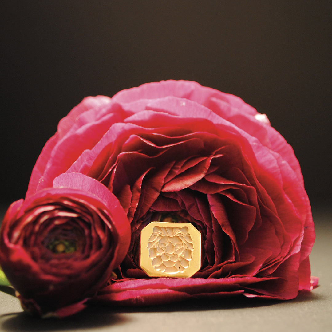 The Lion: Power, Symbolism and Eternal Majesty